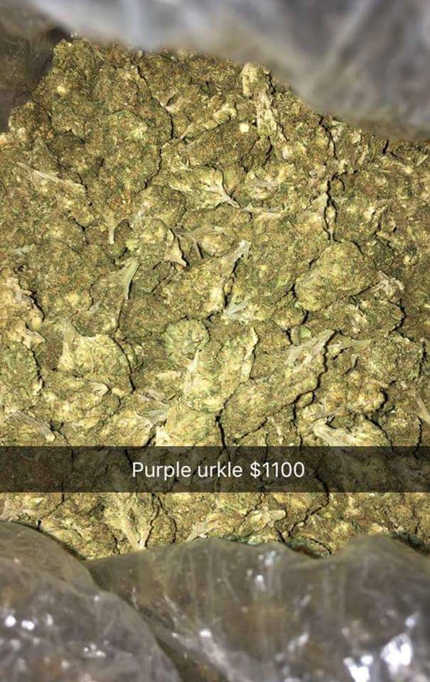 Purple Urkle Green House Dispensary